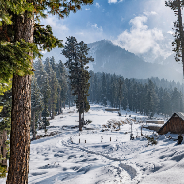 Gulmarg