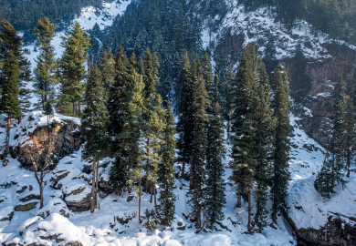 Secure Journey With Us